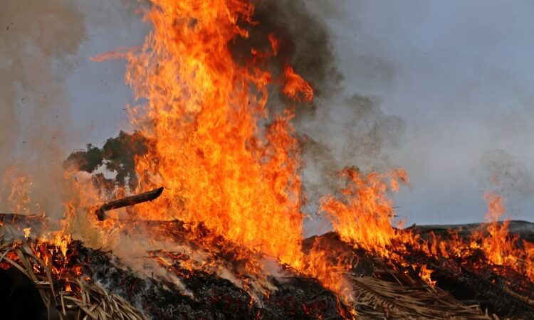 Maranhão já registrou mais de 5,7 mil focos de incêndio em 2021, aponta INPE