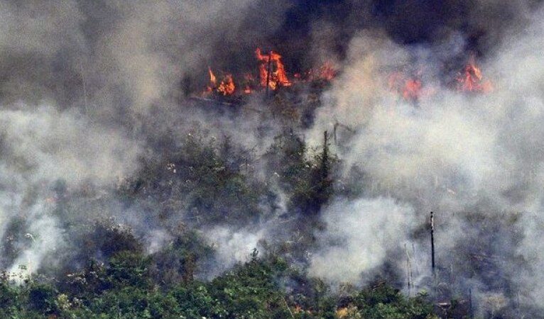 Especialistas criticam Bolsonaro após mentira sobre queimadas na Amazônia