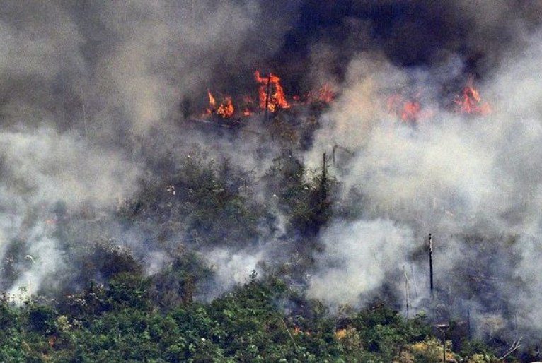 Especialistas criticam Bolsonaro após mentira sobre queimadas na Amazônia