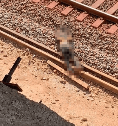 Homem é encontrado morto com mãos amarradas e sinais de espancamento em Açailândia Corpo foi encontrado na ferrovia que passa pelo povoado Trecho Seco.