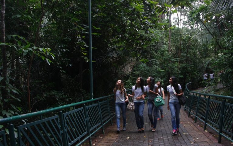 parque-botanico-da-vale