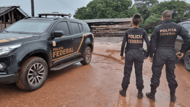 PF combate comércio irregular de madeira em terras indígenas do Maranhão Operação Aegis reprime comercialização ilegal de madeira