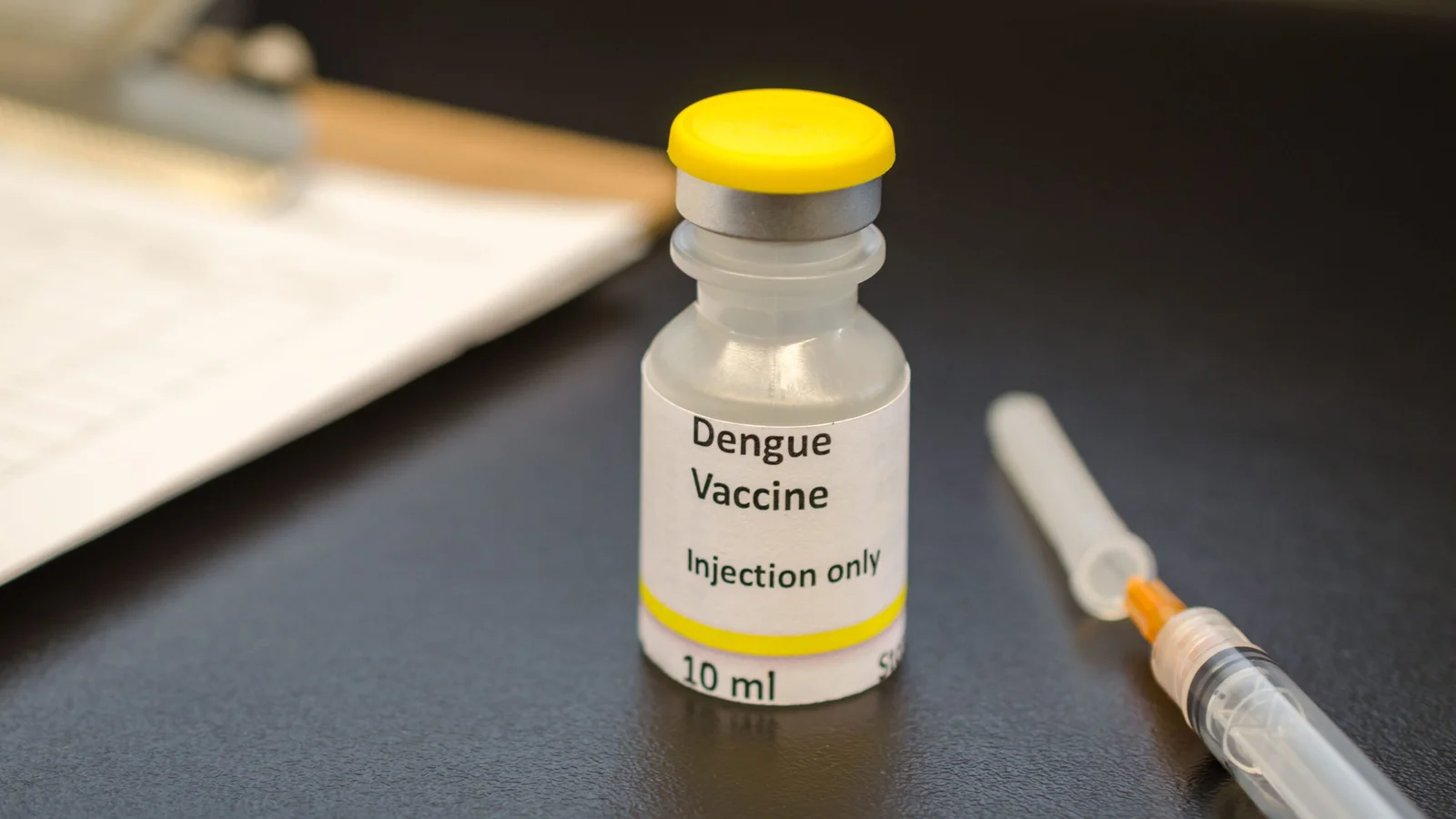 Maranhão recebe 40.610 doses da vacina contra a dengue